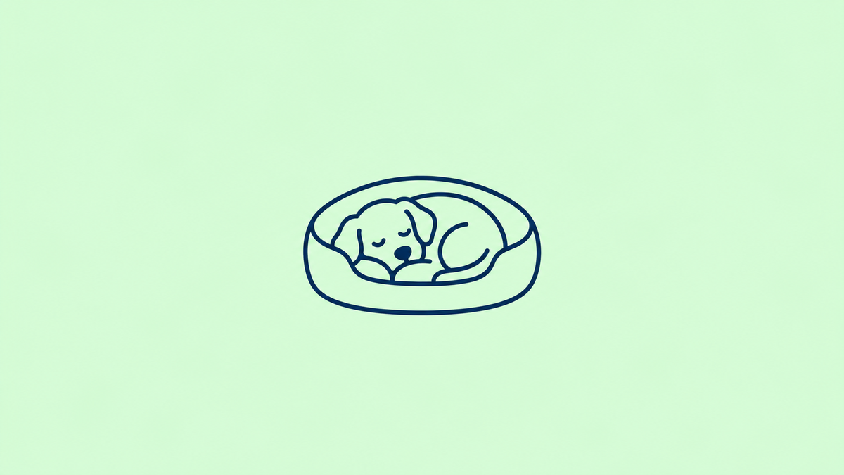 Honden slapen