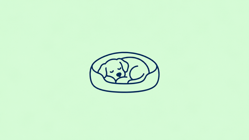 Honden slapen