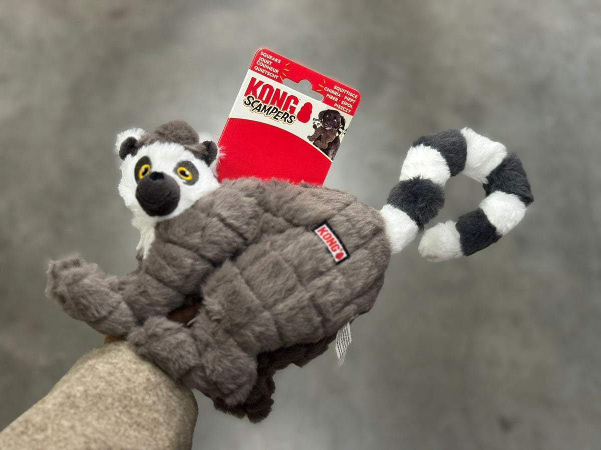 KONG Scampers Maki