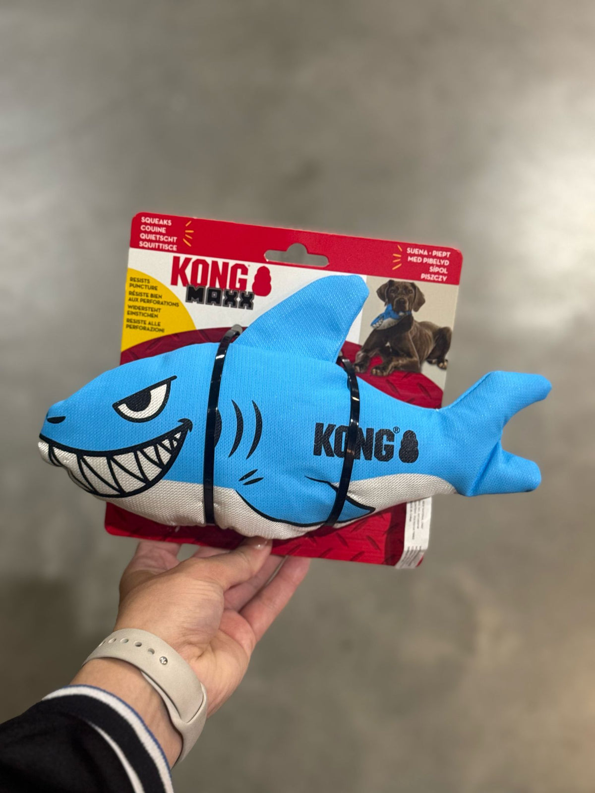 Kong Maxx Haai