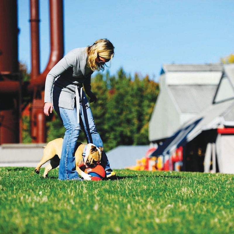Chuckit Kick Fetch