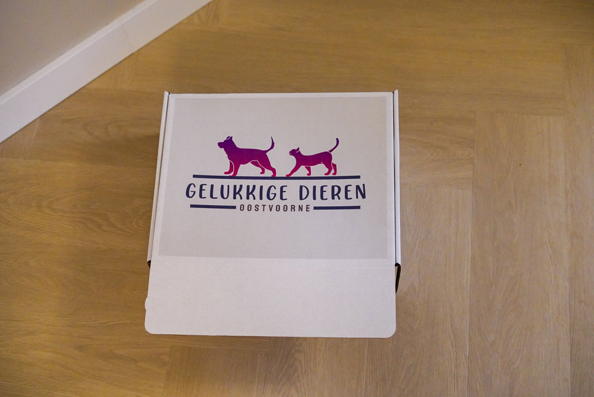 Verrassingsbox puppy