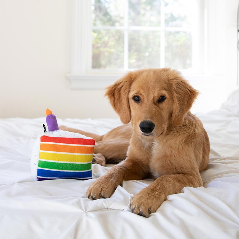 Lulubelles Power Plush Funfetti Cake Large