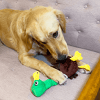 Kong Shakers Bobz Eend Met Piep Groen