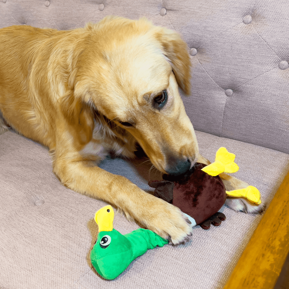 Kong Shakers Bobz Eend Met Piep Groen