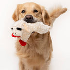 Lambchop lam pluche XL