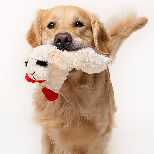 Lambchop lam pluche XL