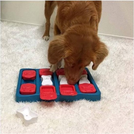 Nina Ottosson Dog Brick Turquoise / Rood