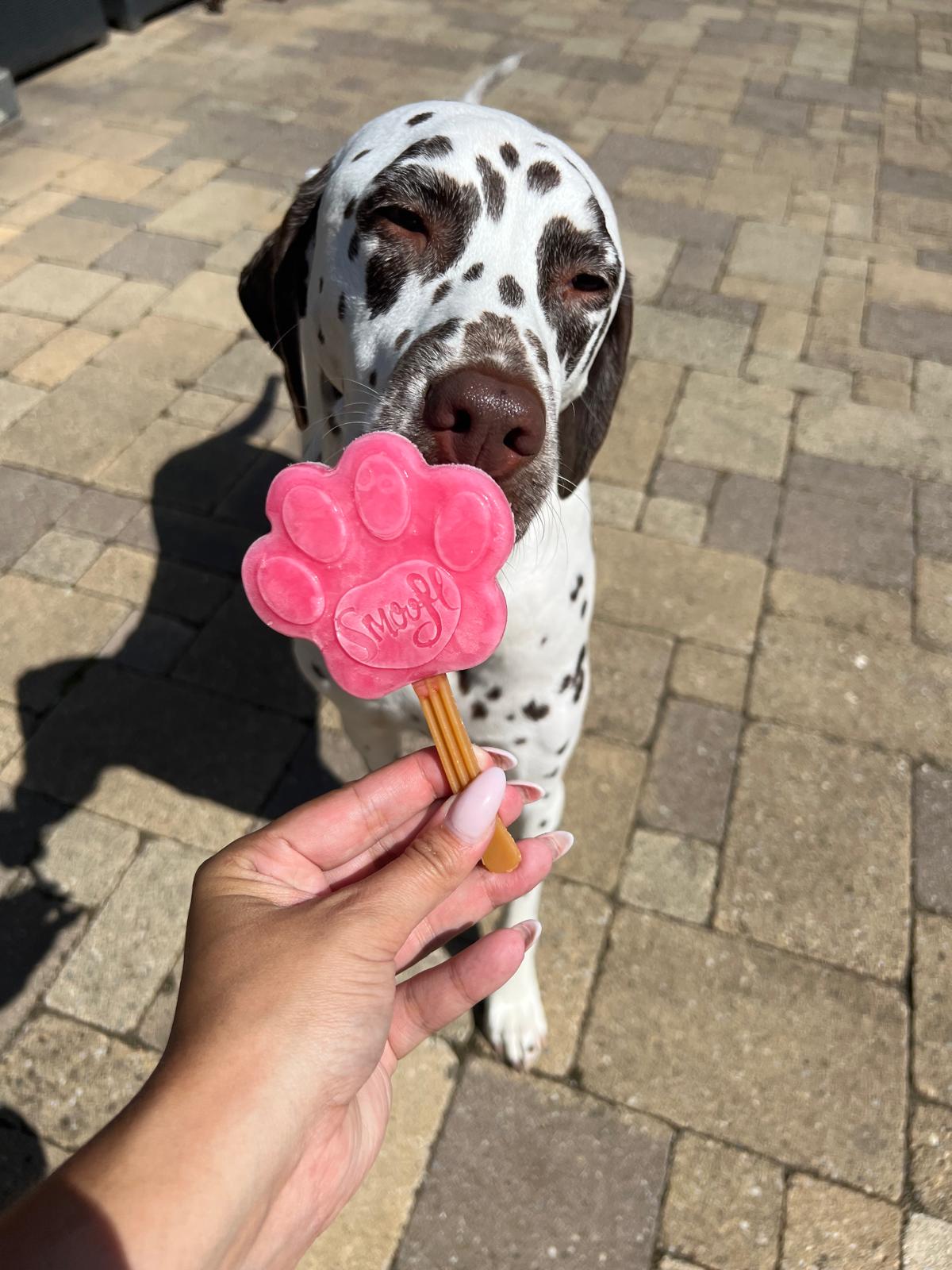 Smoofl mix - ijs voor honden
