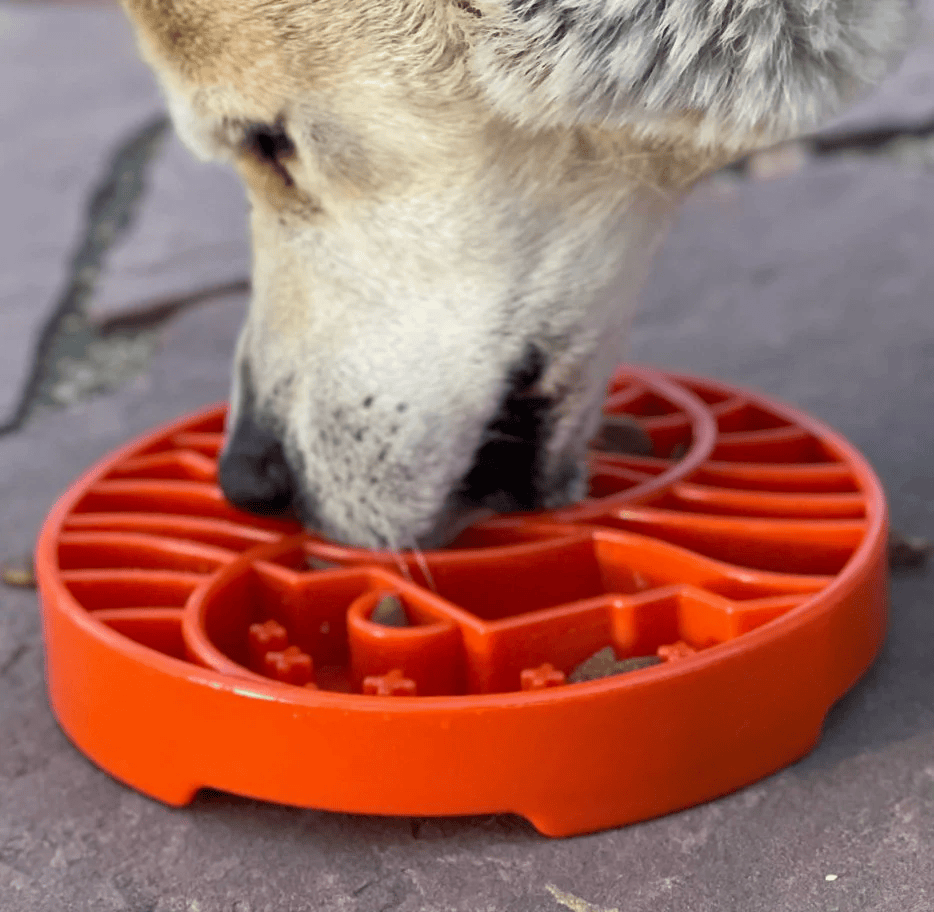 Sodapup Yin Yang Design Shallow Etray Enrichment Slowfeeder Bowl - Oranje