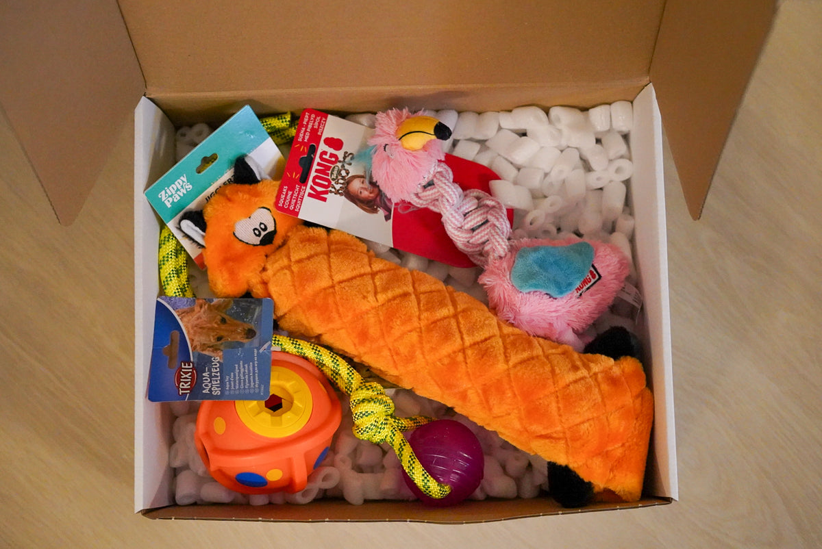 Verrassingsbox hond
