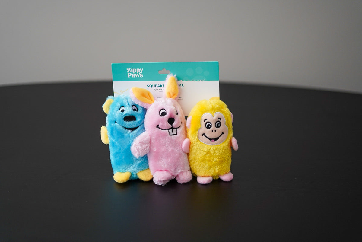 Squeakie Buddies pack of 3