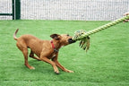 Happy Pet King Size Tug Flostouw Assorti 101 cm