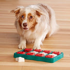 Nina Ottosson Dog Brick Turquoise / Rood