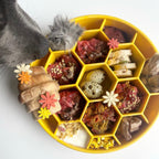 Honeycomb Design Ebowl Slow feeder Yellow