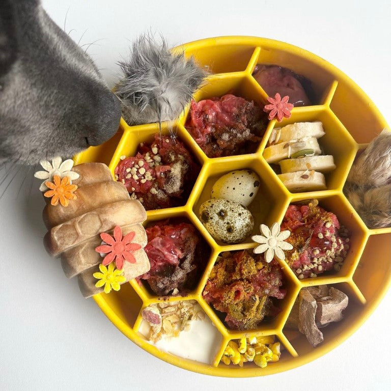 Honeycomb Design Ebowl Slow feeder Yellow