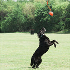Chuckit Rope Fetch