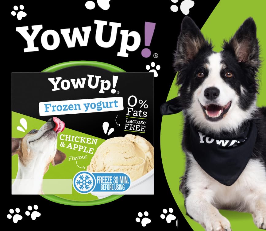 YowUp! Frozen Yoghurt Chicken & Apple