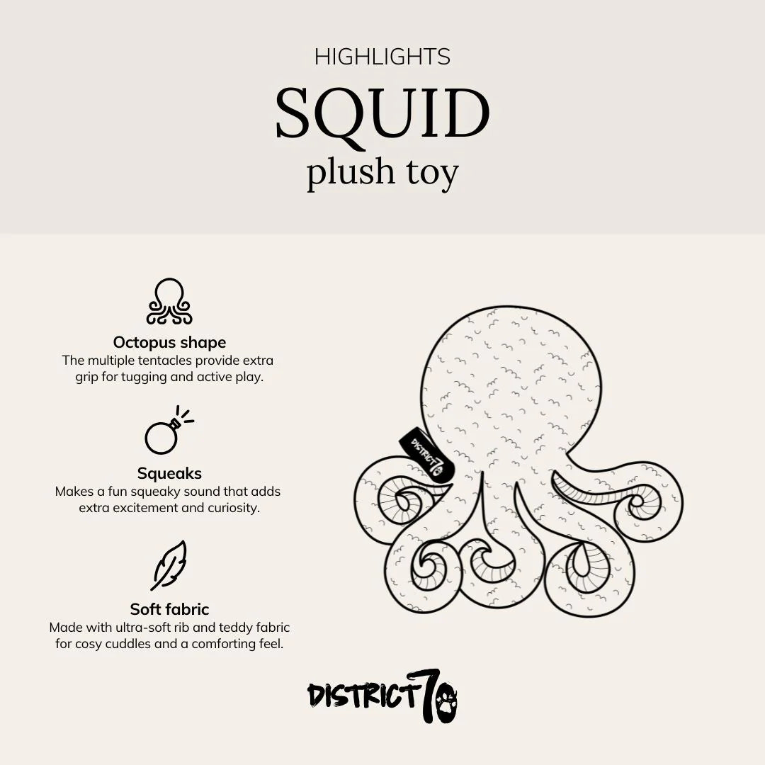 District 70 Squid