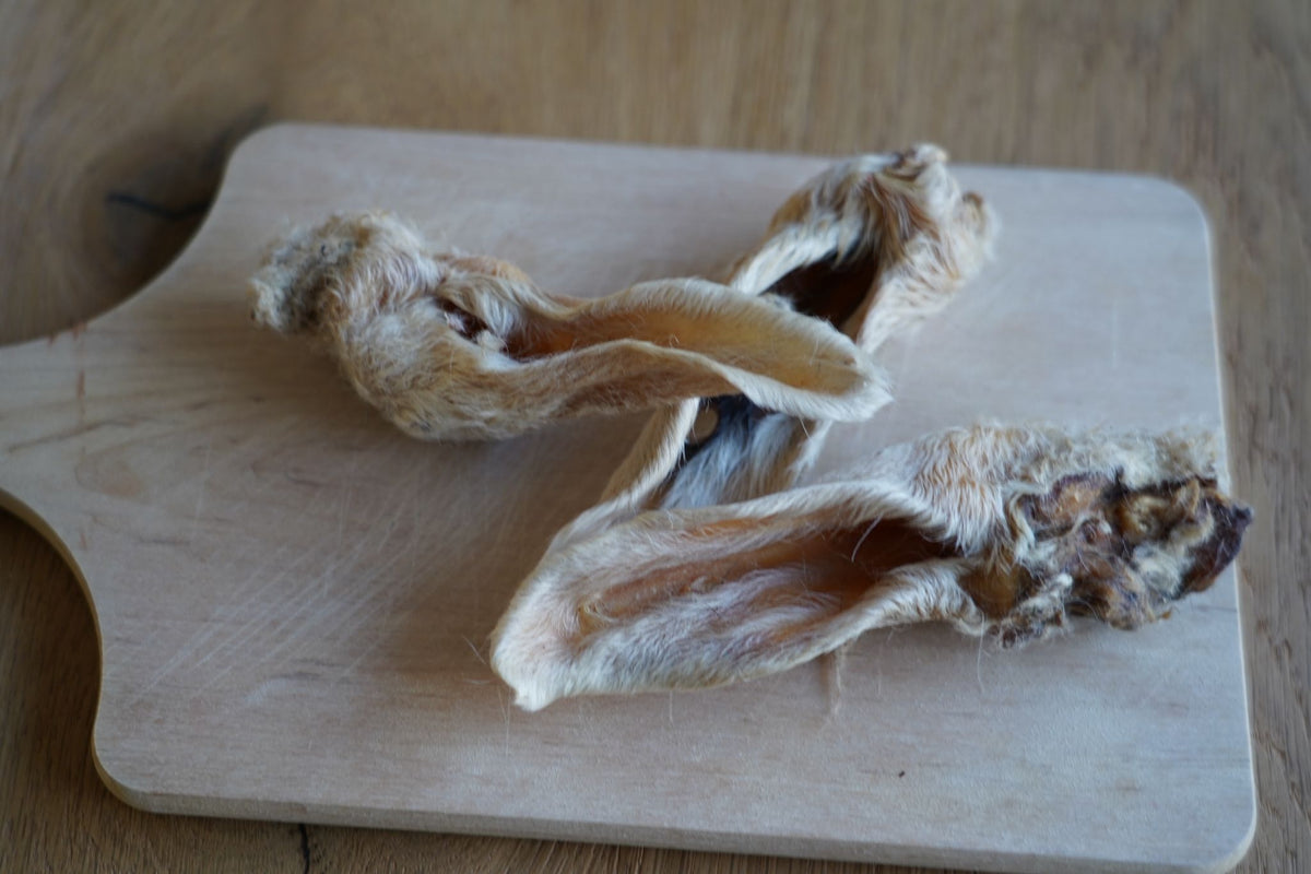 Lamsoren met haar