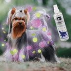 Fresh pet Deodorant spray
