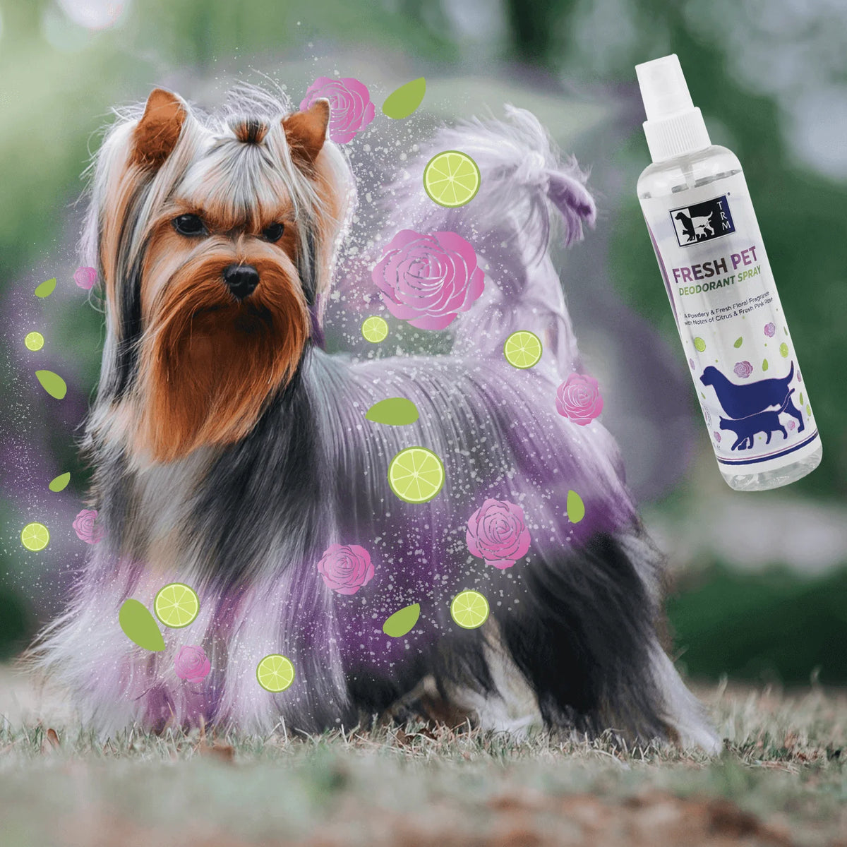 Fresh pet Deodorant spray