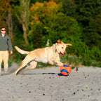 Chuckit Kick Fetch