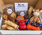 Verrassingsbox hond