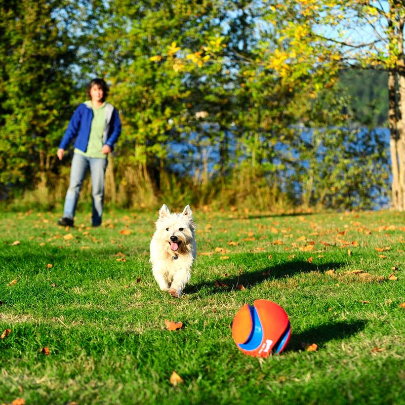 Chuckit Kick Fetch