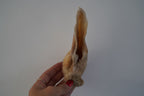 Lamsoren met haar