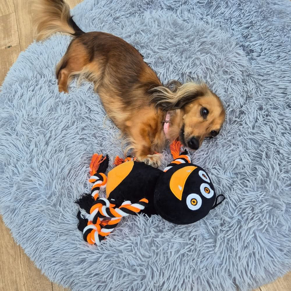 Happypet Halloween Spider Rope