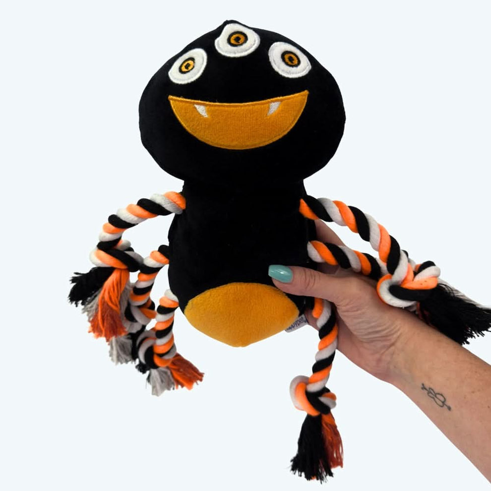 Happypet Halloween Spider Rope