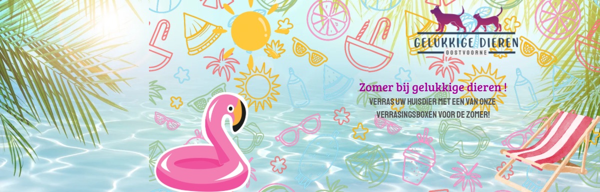 Openingsbanner met welkomsbericht en kleurrijke afbeeldingen