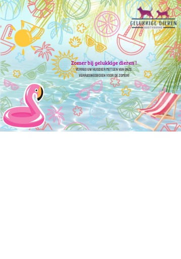Openingsbanner met welkomsbericht en kleurrijke afbeeldingen voor de mobiele telefoon